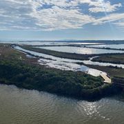 Le zone umide sono un business