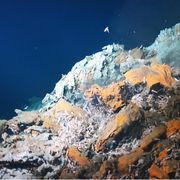 Scoperti batteri che respirano rocce e zolfo. E puliscono l'ambiente