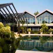 La cosmetica verde di Davines inizia dalle piante coltivate nell'orto aziendale