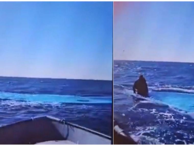 Lo screenshot del video che Alarm Phone ha ricevuto dal pescatore che ha recuperato l'unico superstite del naufragio / ALARMA PHONE