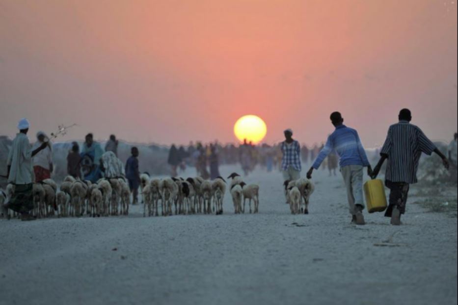 Profughi L Onu Il Clima Malato Ormai Un Emergenza Umanitaria