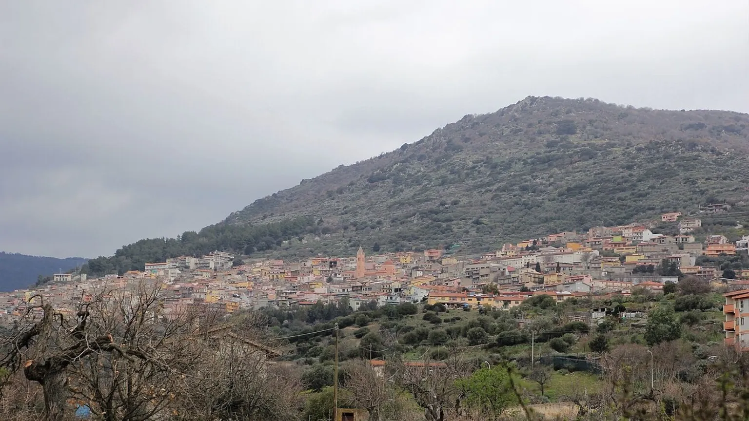 Il borgo sardo delle centenarie, dove si sfida la longevità
