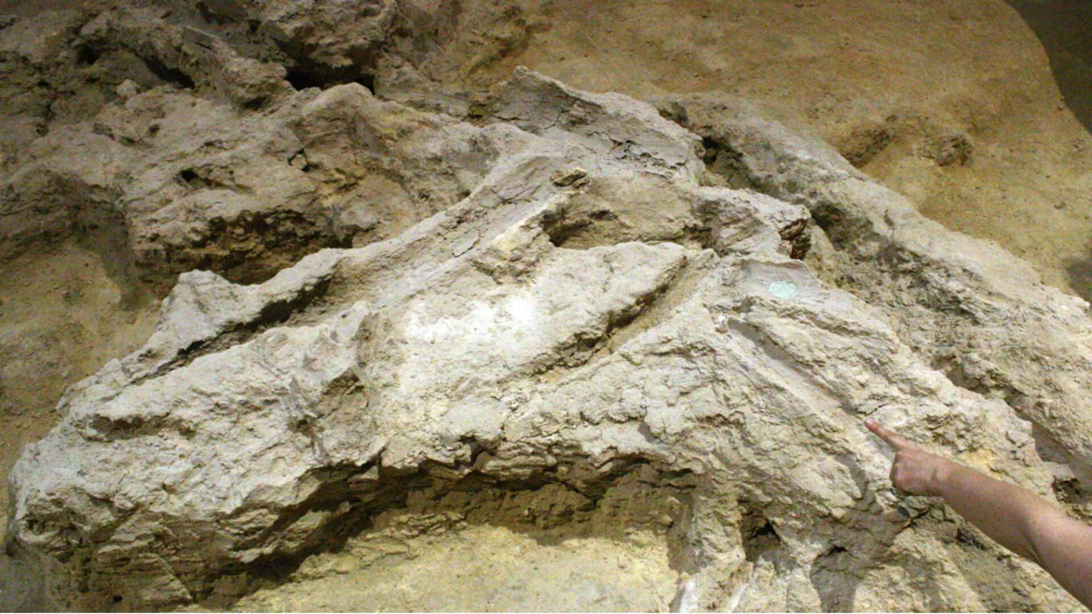 I Neanderthal, falegnami della Preistoria: nuove scoperte in Catalogna