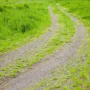 La società sfumata, gli adulti e i confini mobili