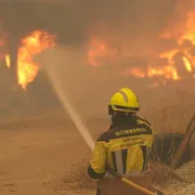L'Europa in fiamme: 220mila sfollati tra Francia e Spagna, Bordeaux sotto assedio