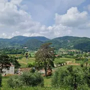 Uliveti e vigne: così la diocesi di Padova coltiva il futuro sui Colli Euganei
