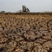 Il cambiamento climatico mette a rischio l'approvvigionamento di cibo: il report-choc degli 007 inglesi