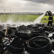 Cento reati ambientali al giorno, le ecomafie continuano a prosperare