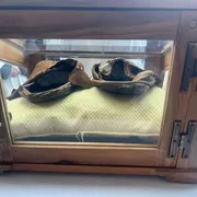 Brindisi accoglie i calzari di san Francesco a 800 anni dalla sua morte: è la prima volta che la reliquia lascia Assisi