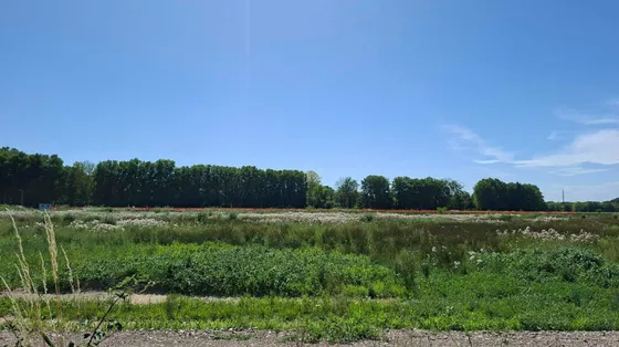 Tra Milano e Pavia si moltiplicano i comitati anti-data center. Ma c'è chi li difende