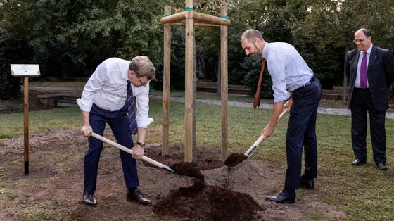 Italia-Germania: 75 alberi per ricordare la ripresa delle relazioni diplomatiche
