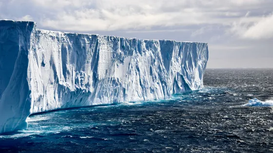 Artico e Antartide, laboratori naturali in pericolo