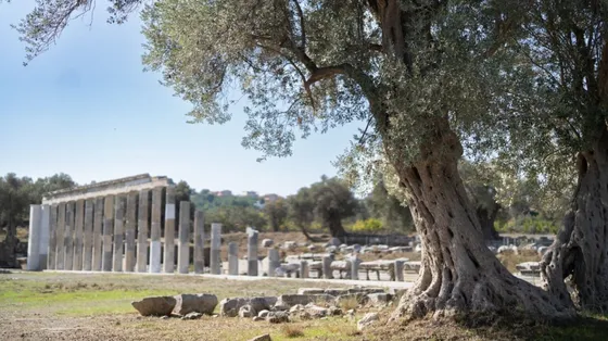 Nell'antica Grecia i maestri di musica guadagnavano più di tutti. E a scuola andavano anche le ragazze