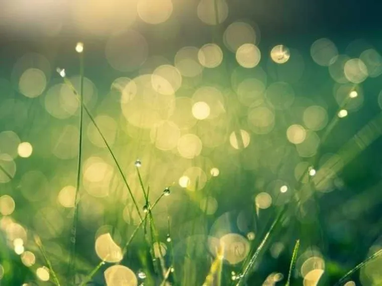 La luce ha bisogno di una relazione