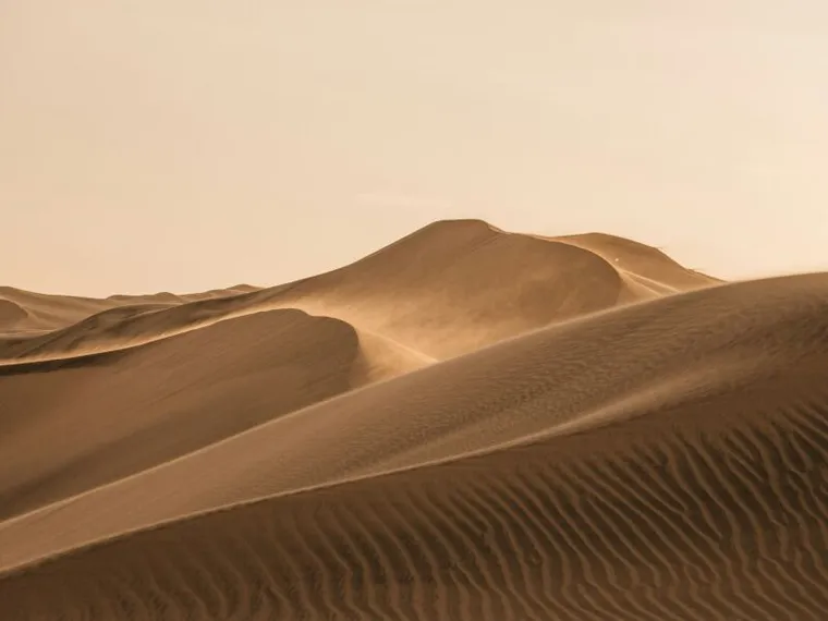 Non risposte ma domande: che cosa ci insegna il silenzio dei Padri del deserto