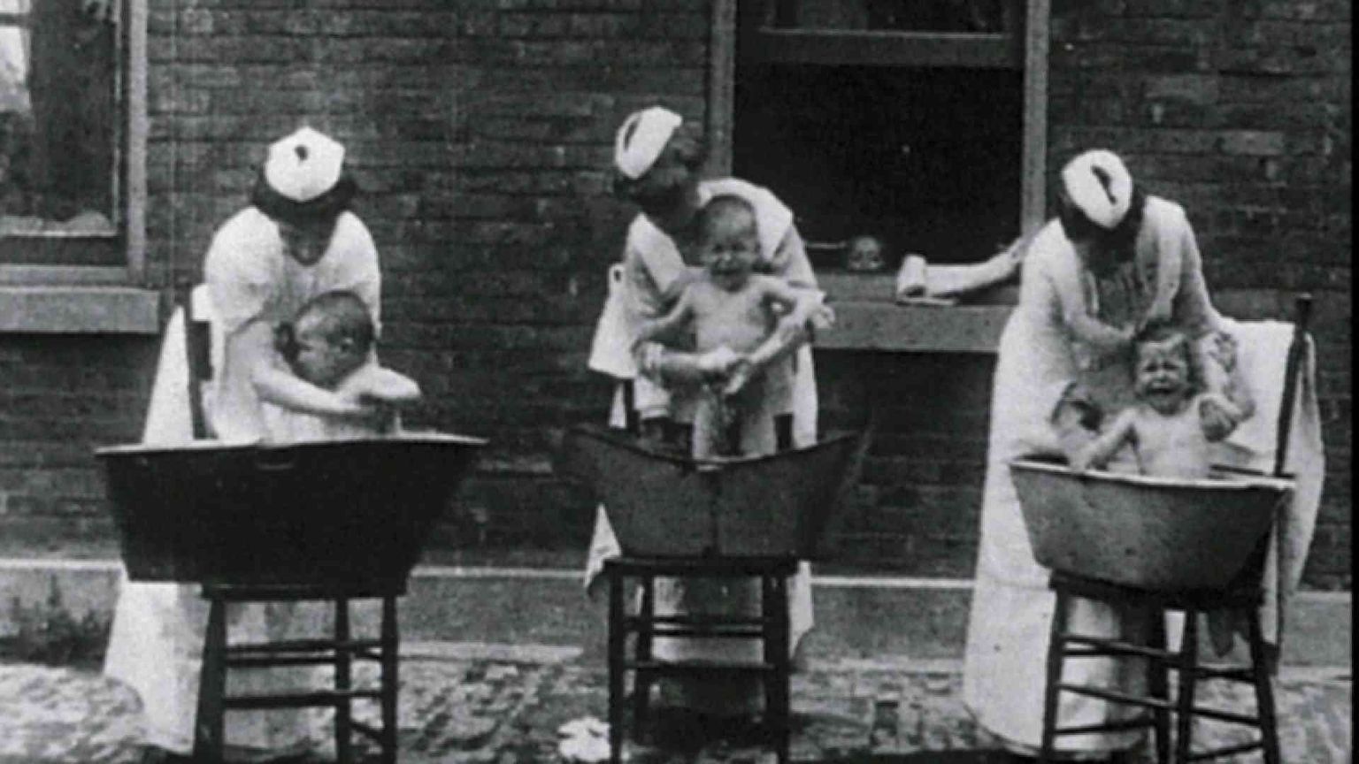 Balie, la «via del latte» dall’Italia all’Egitto