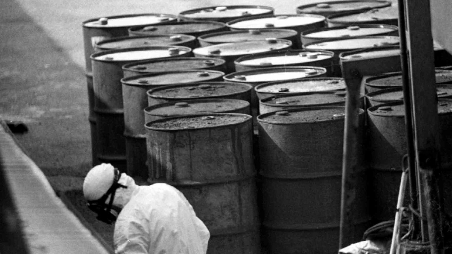 Seveso, 40 anni dopo i veleni restano