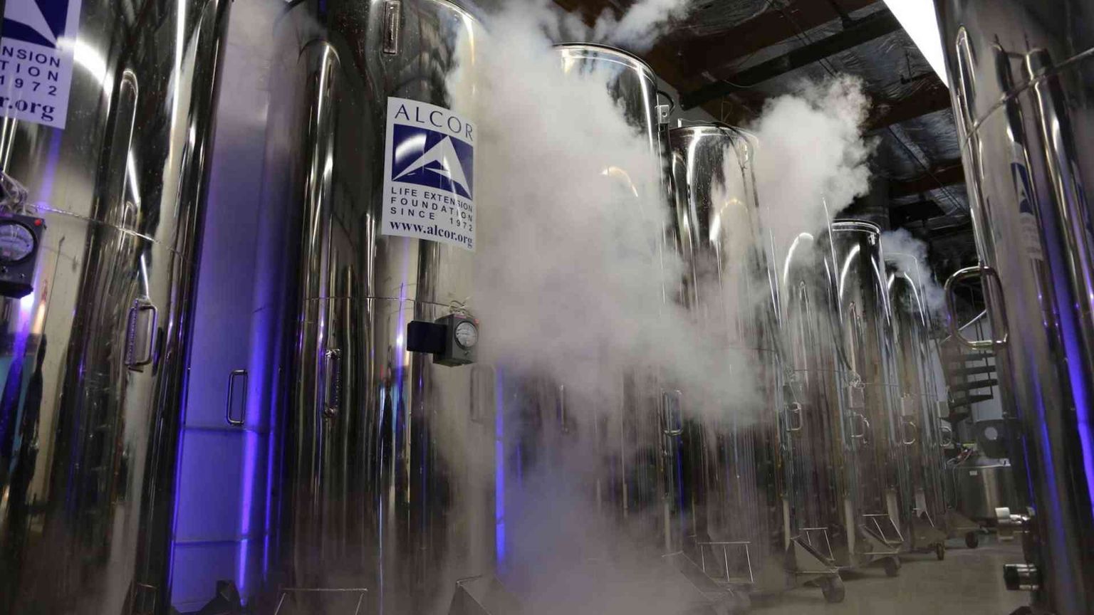 Via libera del giudice: 14enne ibernata dopo la morte