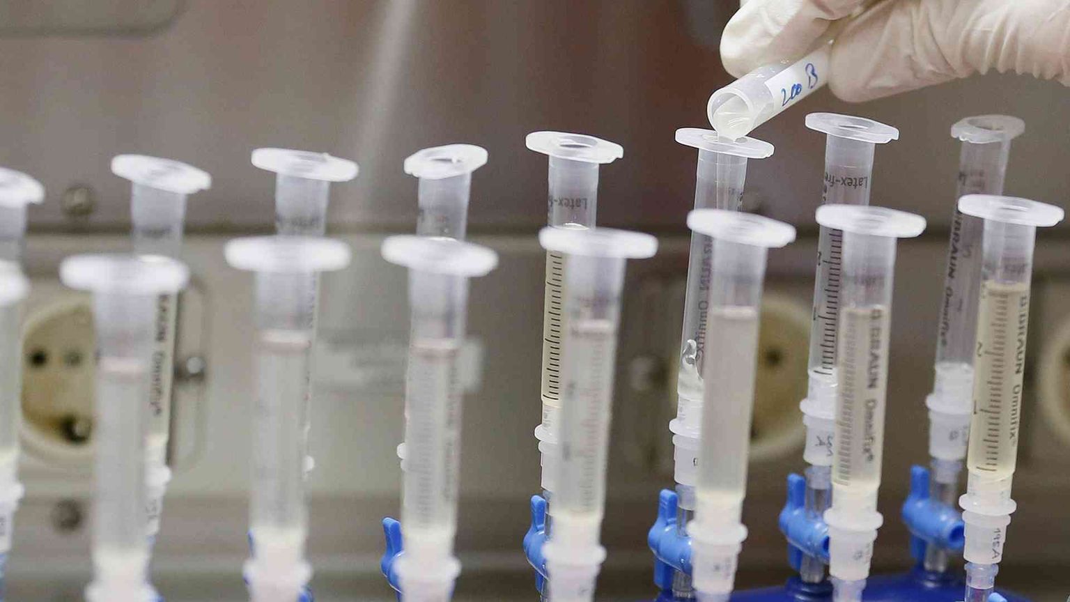 Arrivano gli umani «Ogm» Ed è il caso di preoccuparsi