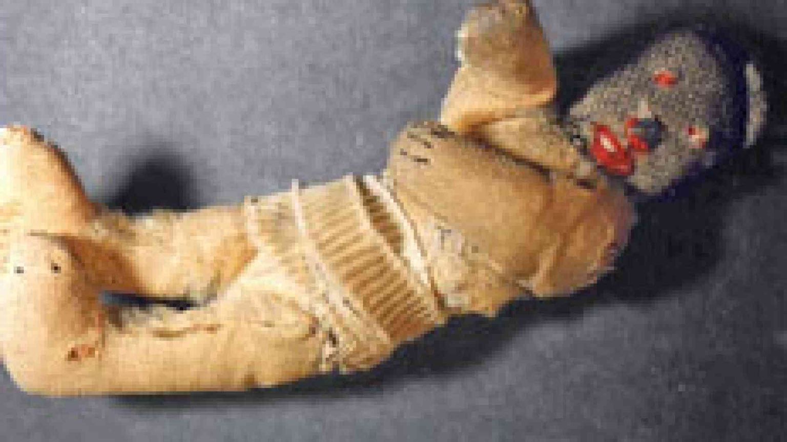 L'orsetto di Fred, simbolo della Shoah