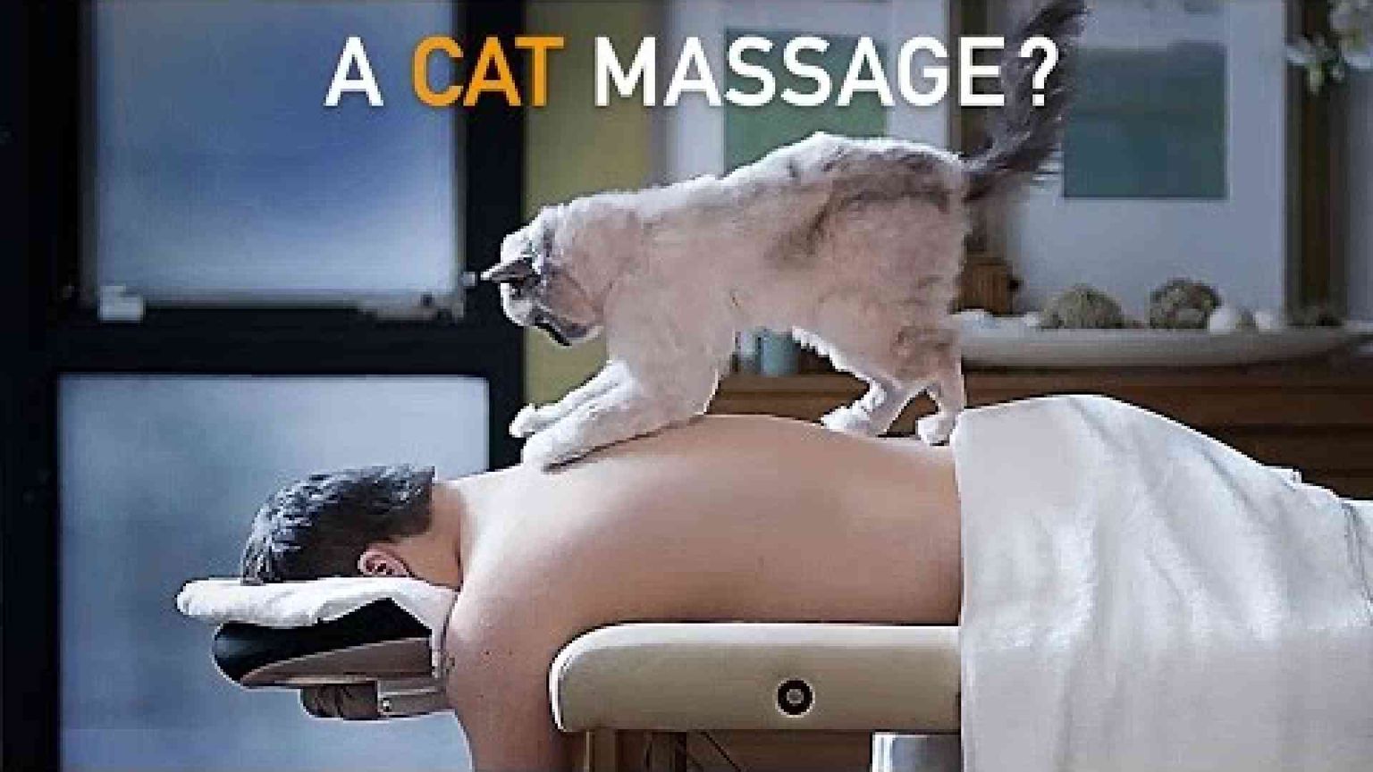 La sfida dell'inclusione: lavoro, istruzione... ecco cosa serve