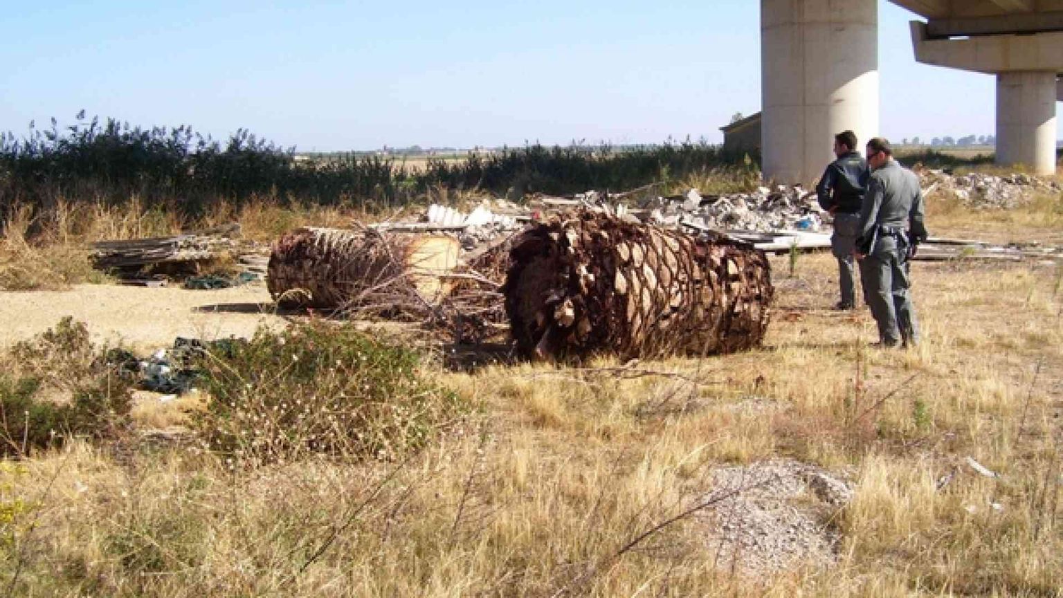 «Scorie interrate, impennata di tumori»