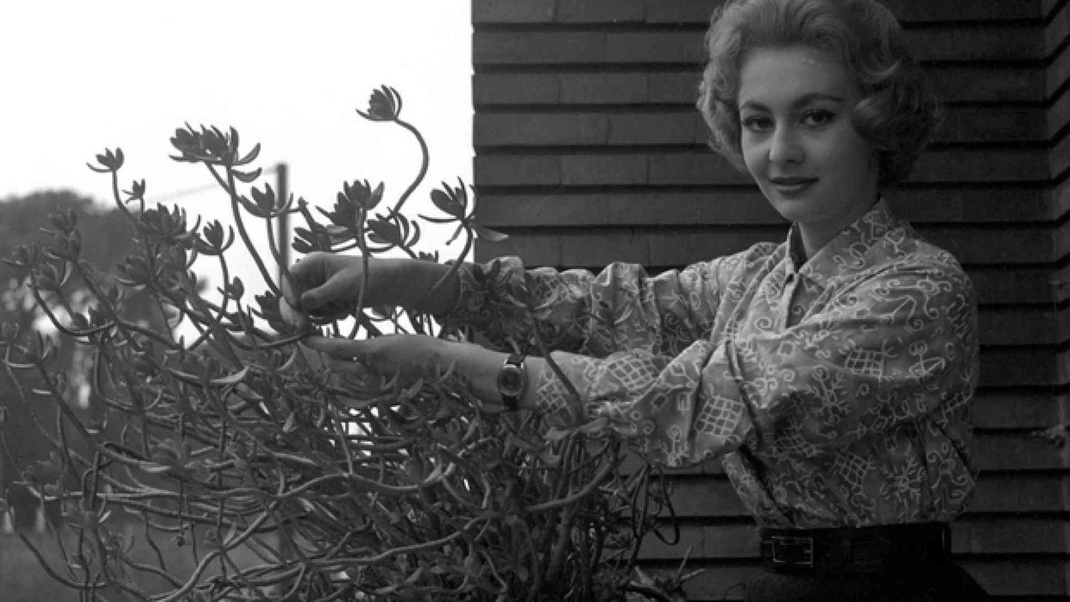 Addio ad Anna Maria Gambineri, storica «signorina buonasera»