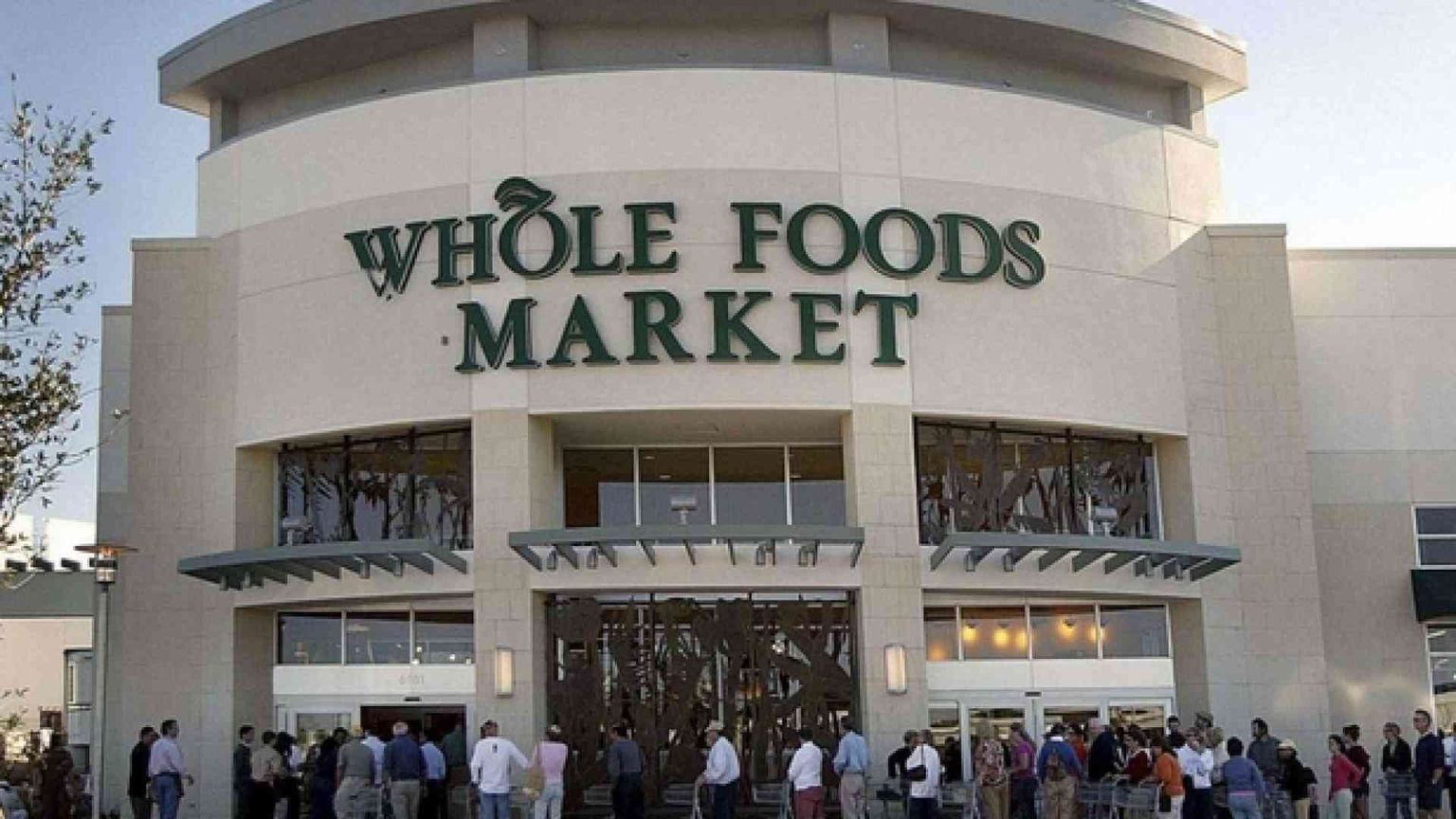 Nel grande risiko dei supermarket Amazon si fa bio e arrivano i discount tedeschi