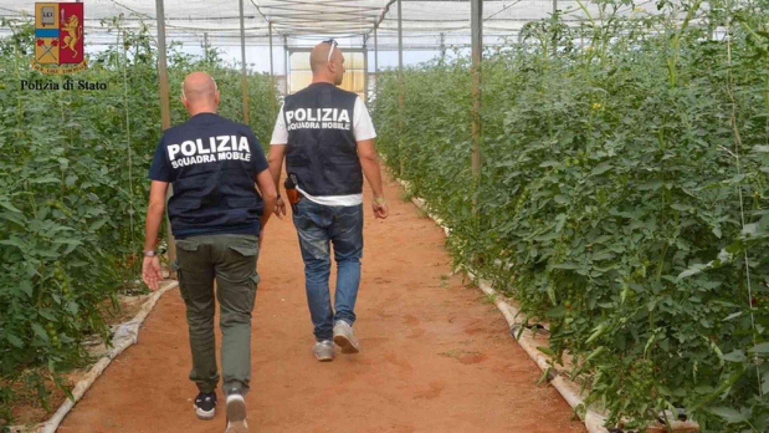 Richiedenti asilo sfruttati come braccianti. Due arresti a Ragusa