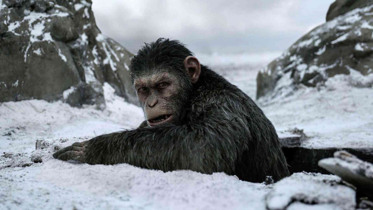 Il gran finale del «Pianeta delle scimmie» è un western tragico