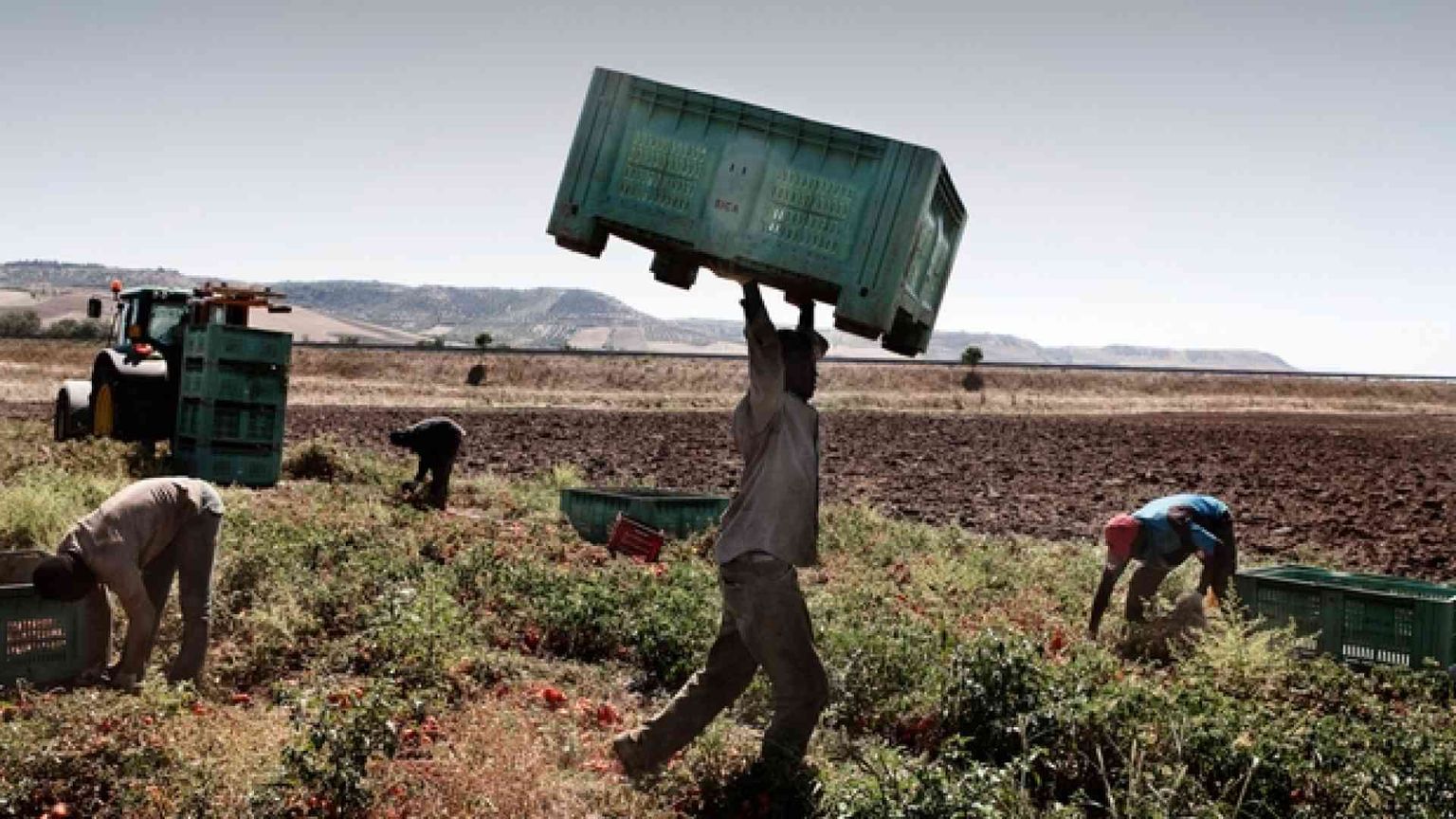 Chiesa in prima fila per i lavoratori sfruttati e contro i caporali