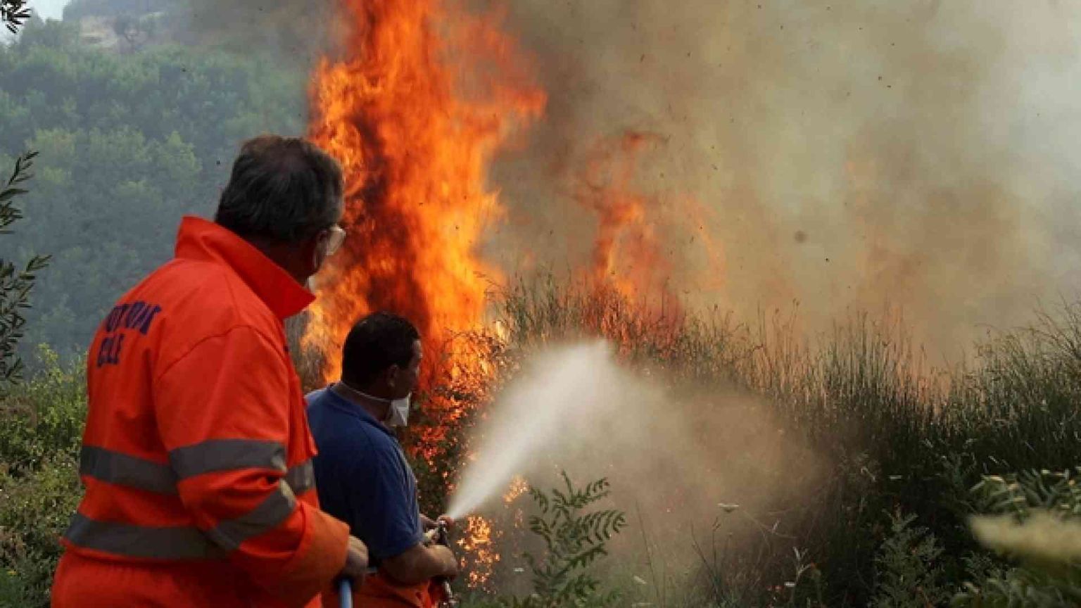 La Sila brucia, ipotesi roghi dolosi: sospetti su aziende forestali