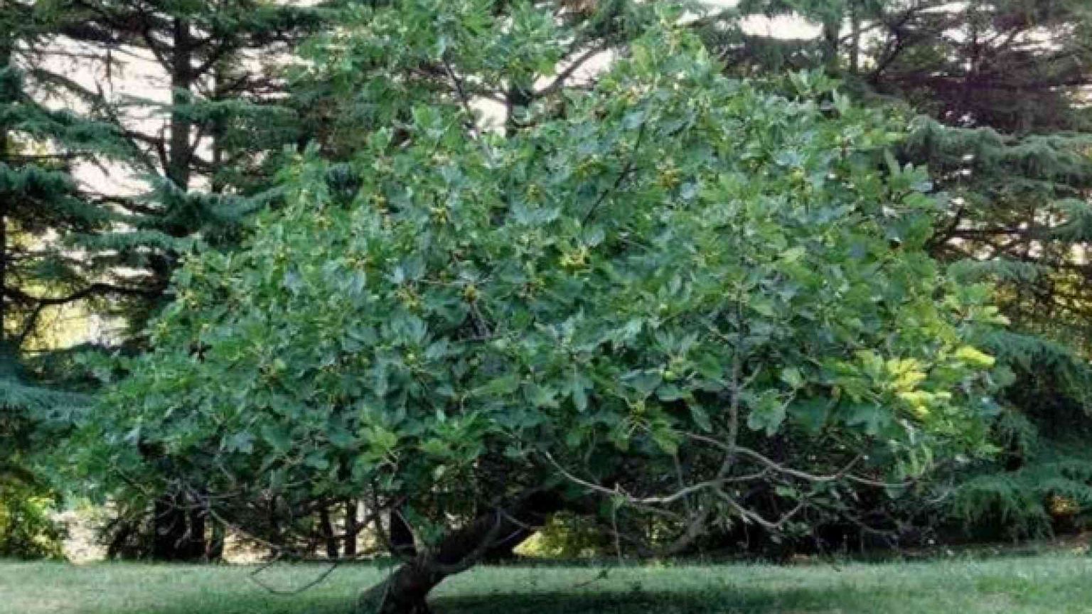 Marsiglia: sponde che si incrociano e preghiere che risuonano in pace