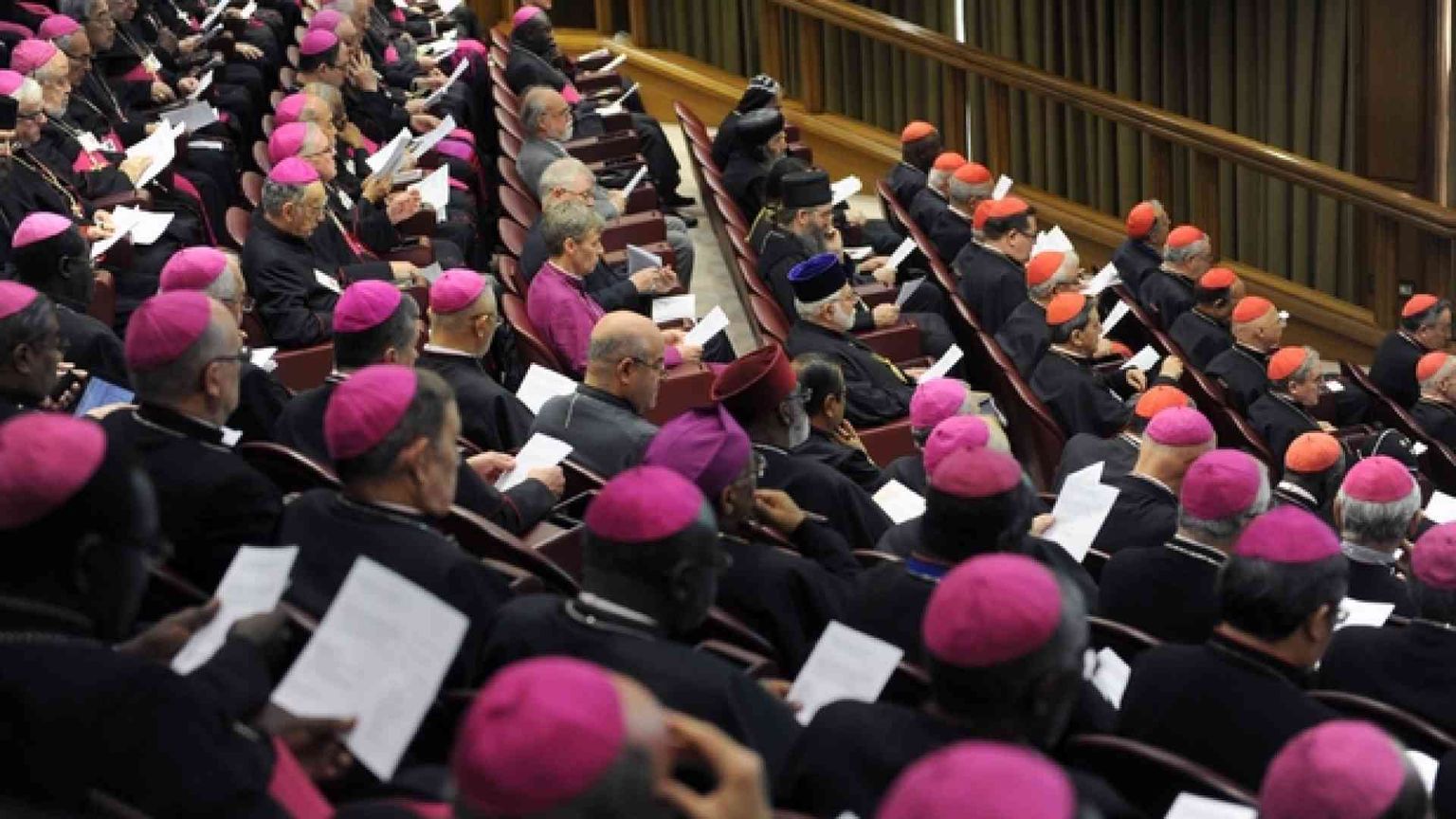 Verso il Sinodo in nove tappe