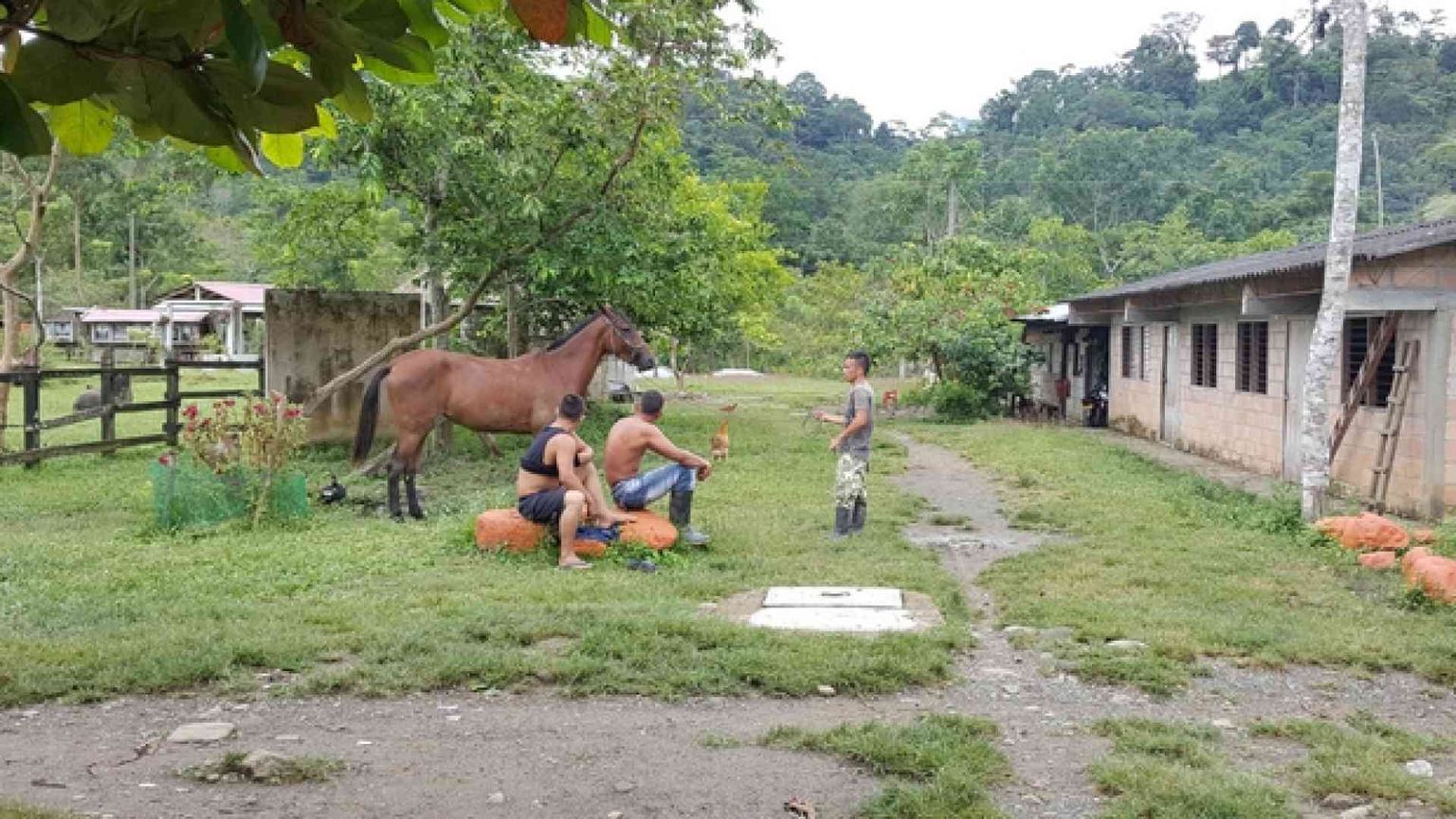 Contro i volontari un «attacco annunciato»: «Il governo fermi i paramilitari»