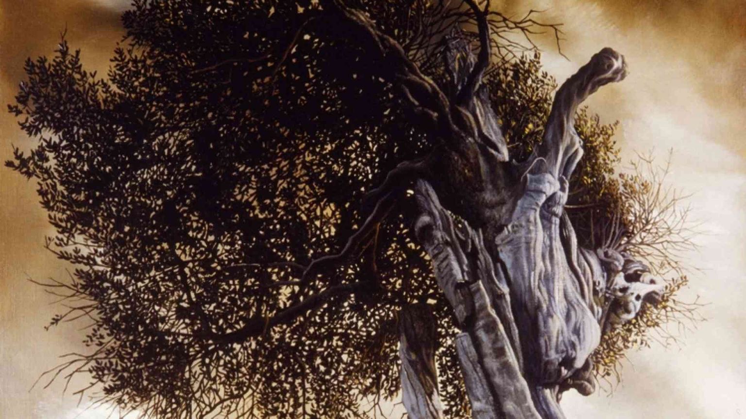 L'elogio degli alberi