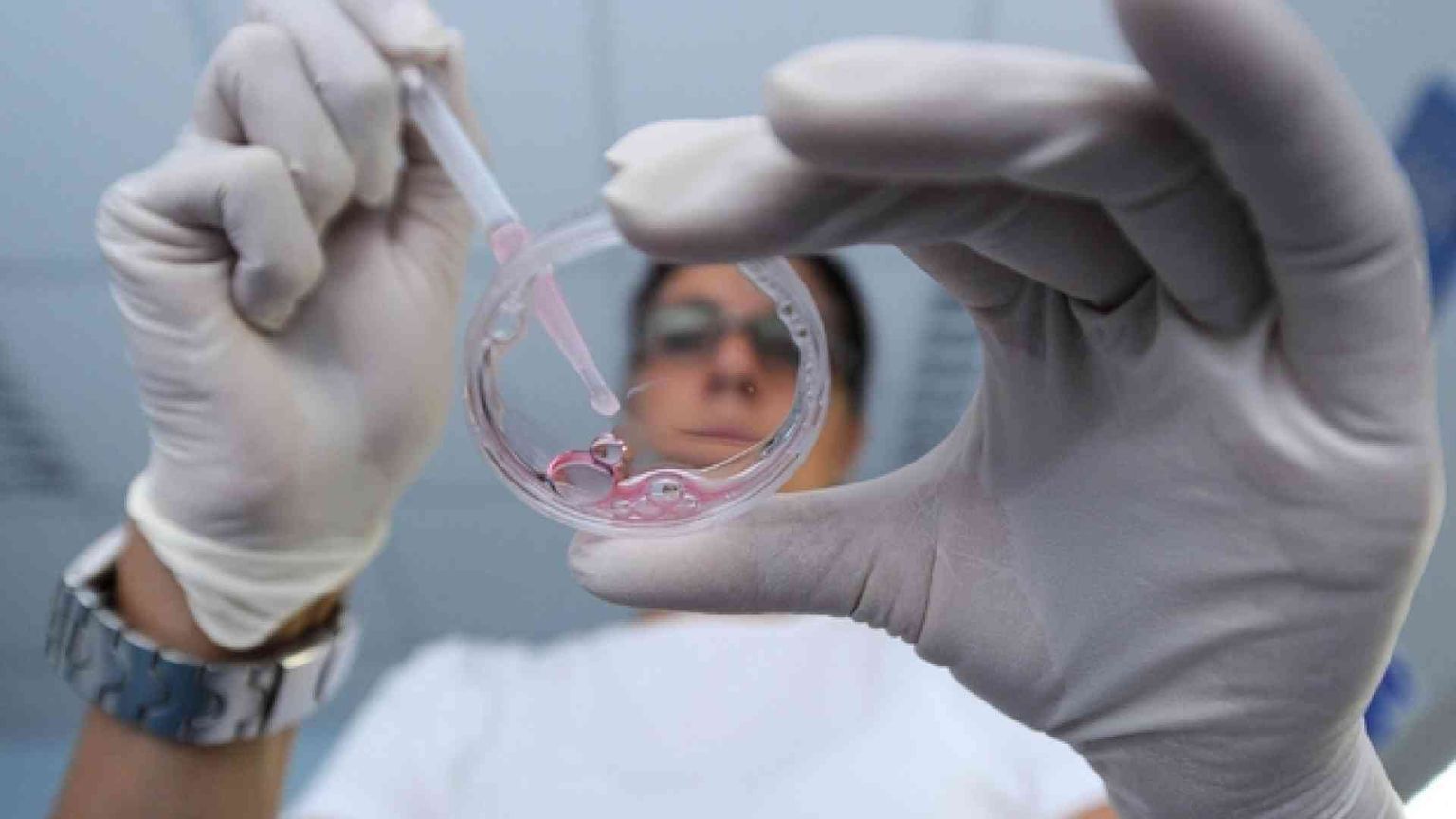 Divieto di eterologa, primo ricorso di una coppia gay alla Consulta