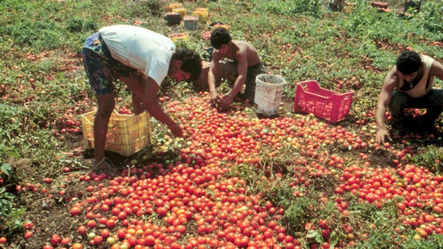 Caporali d'Italia, dramma da Nord a Sud