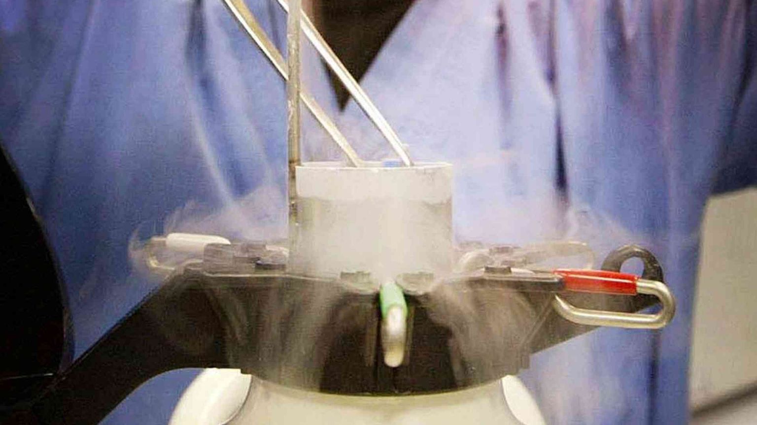 Embrioni congelati, la città dimenticata