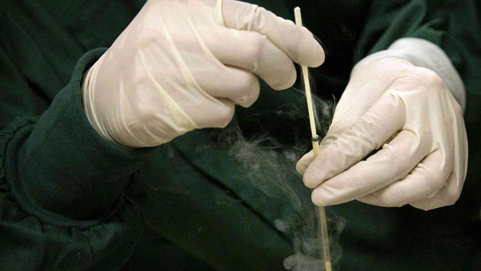 Le gemelle con il Dna modificato: la Cina apre un'indagine