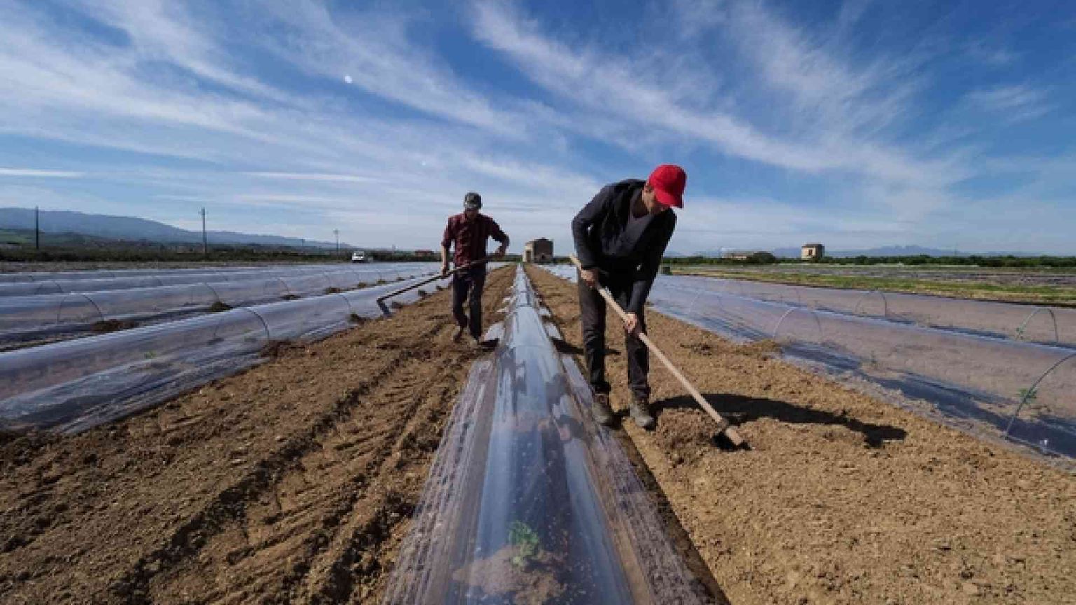 «Millecinquecento morti in 6 anni, fermate la strage di braccianti»