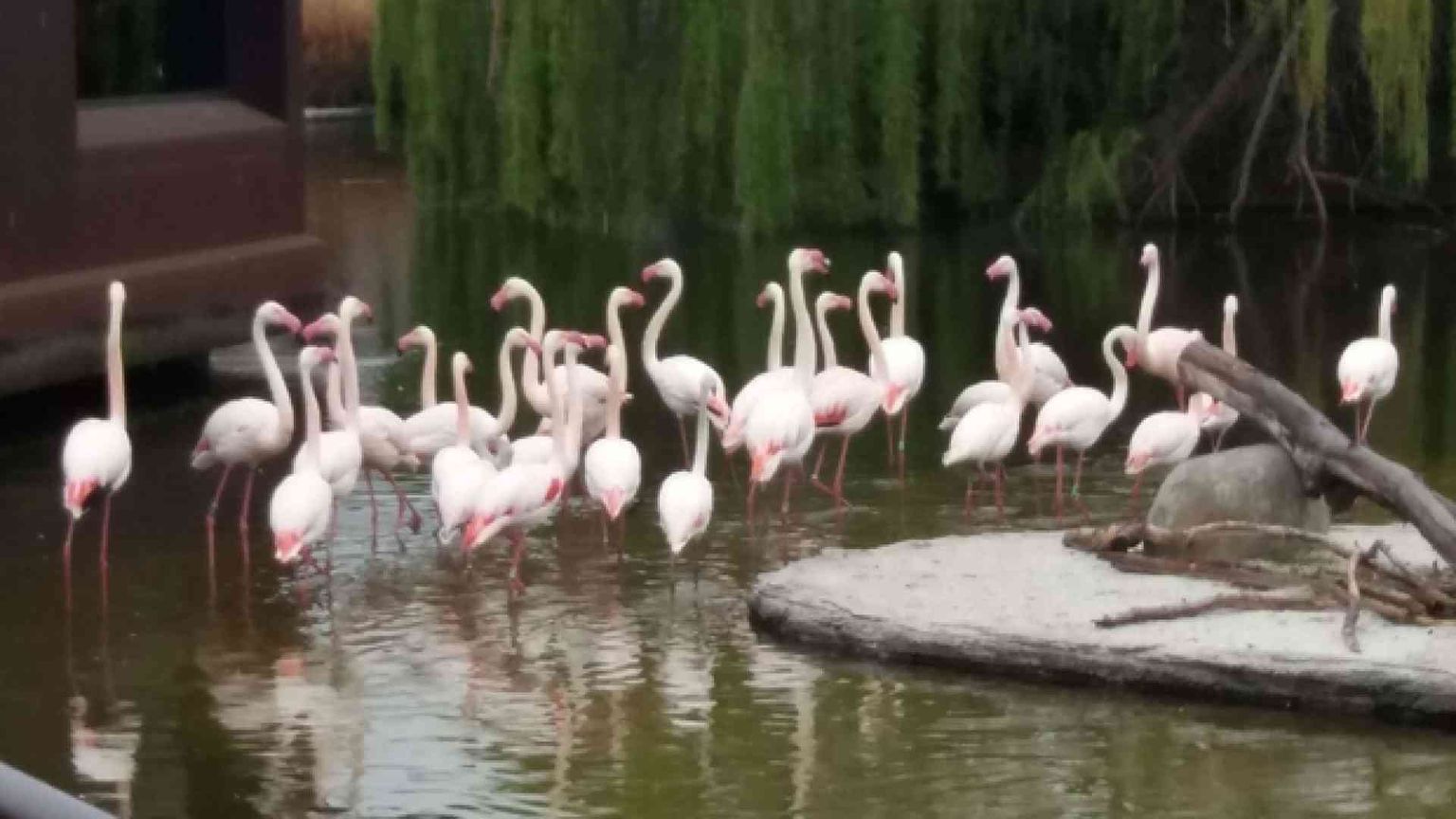 Posti di lavoro con il bioparco