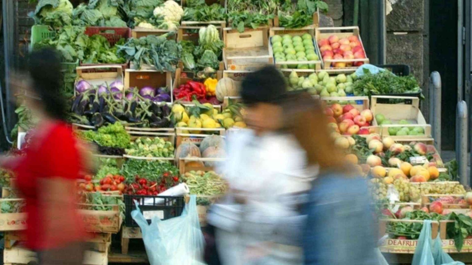 Cibo biologico senza antiparassitari, ma con concimi al veleno
