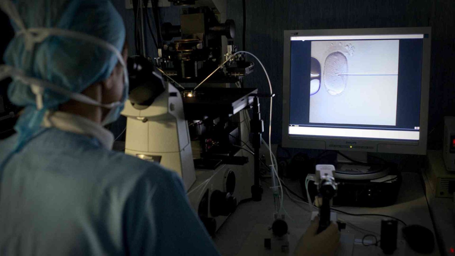 Eterologa, il Tar della Lombardia toglie il limite dei 43 anni