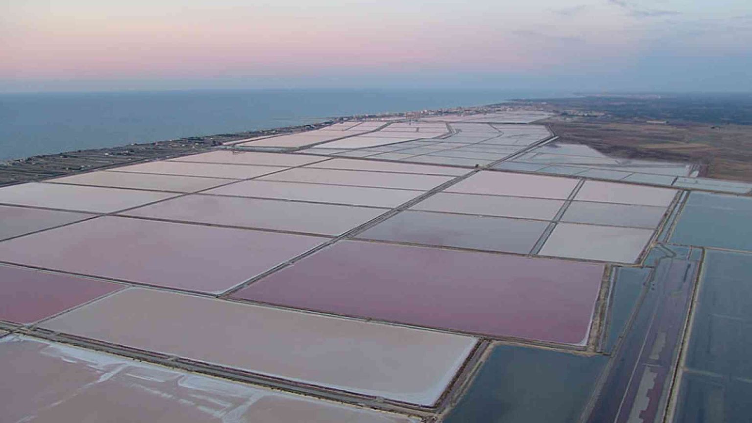 I francesi conquistano il nostro sale