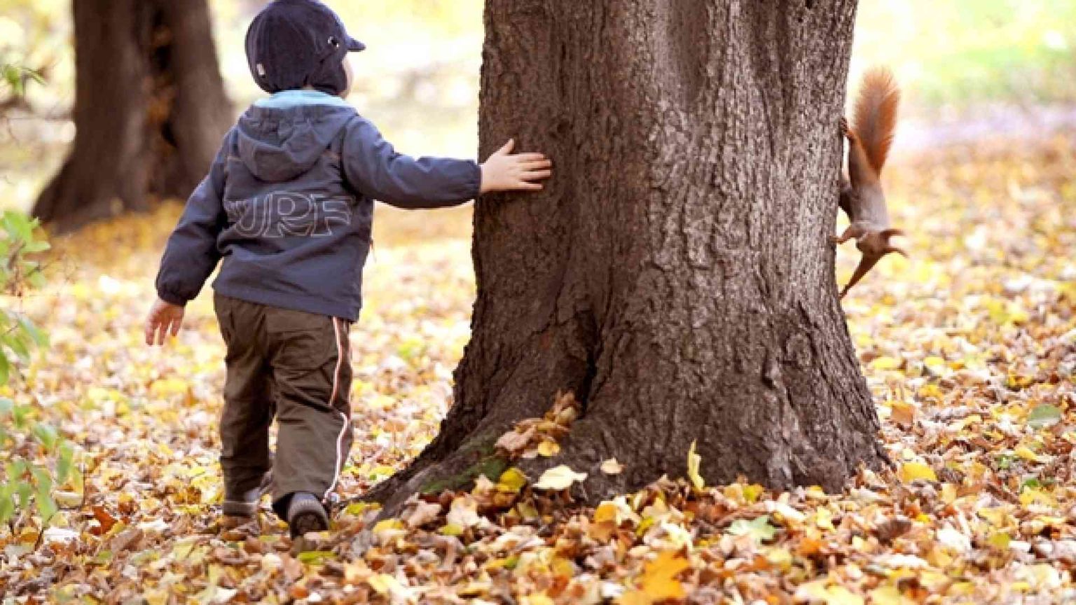 Emergenza affido condiviso: troppi «orfani» per i conflitti tra padre e madre