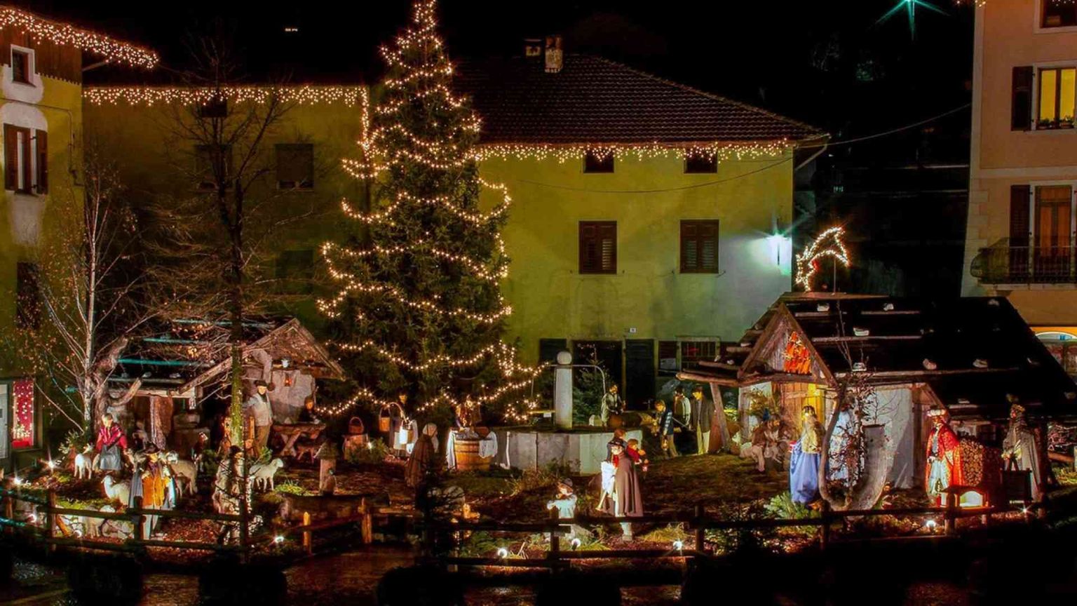 Dal Triveneto il presepe e l'albero di Natale per Piazza San Pietro