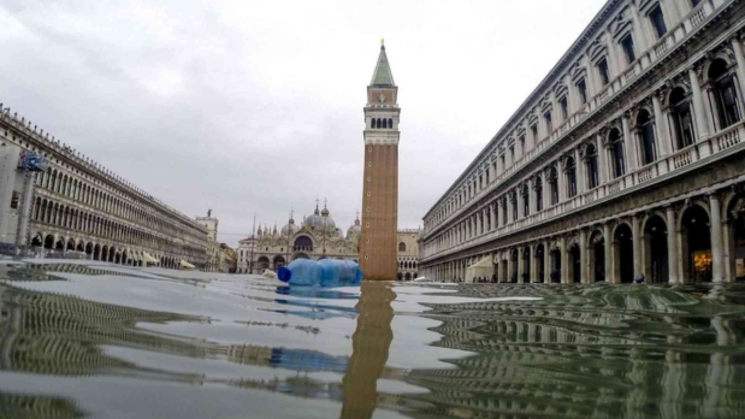 Madre Terra, economia madre il movimento da generare