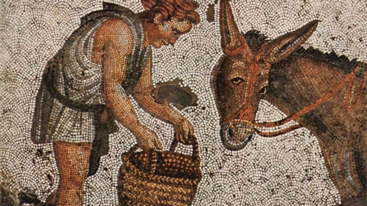 Povera filosofia ridotta a ricetta terapeutica