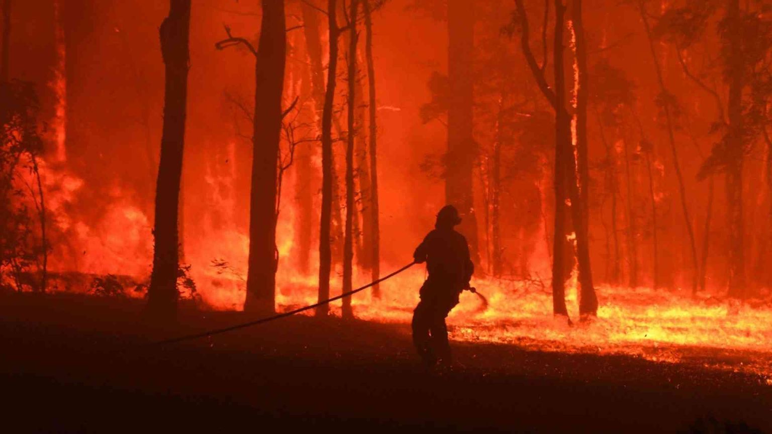 Gli incendi stanno devastando l'Australia
